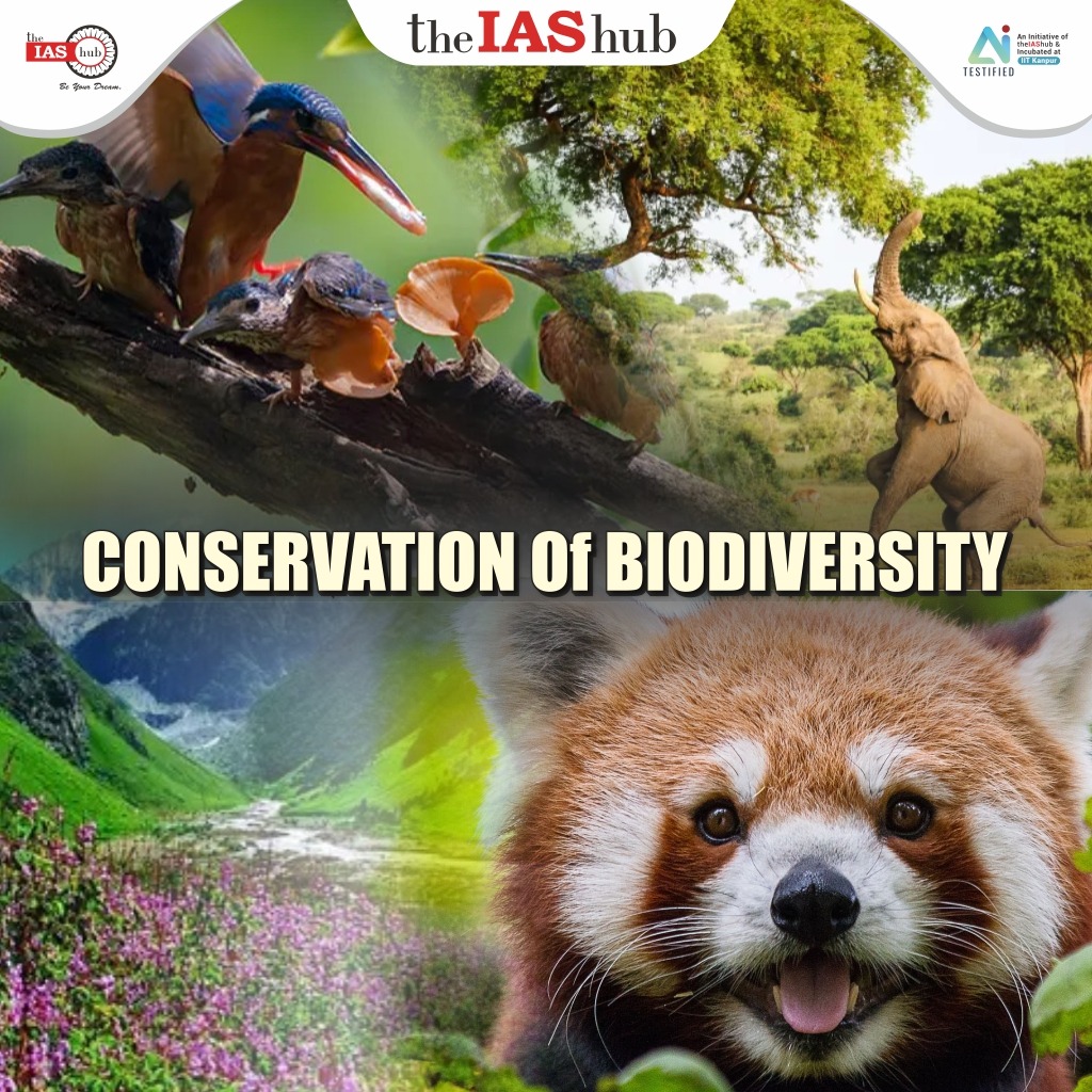 Conservation of Biodiversity